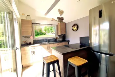 Image de la salixienne