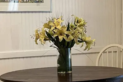 Image de Cozy Family Cottage Circuit Ave Ob Walk to Everything