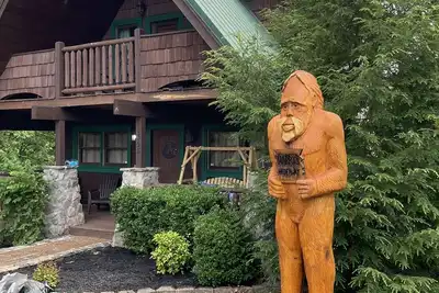 Image de 3 Miles From Parkway / New Furnishings / New Hot Tub / Arcade /  Fast Wifi