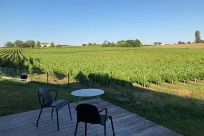Image de Villa à15 mn de Bordeaux avec piscine. Cadre exceptionnel au milieu des vignes.