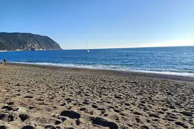 Image de Les Demoiselles d'Avignon