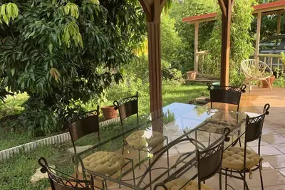 Image de A l'ombre des manguiers