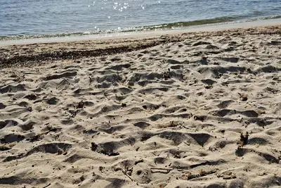 Image de Mobilhome dans camping  4 étoiles à 150m de la mer à pied