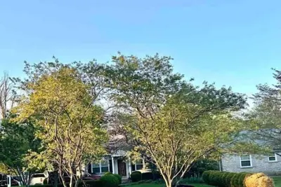 Image de Experience Chevy Chase Basement Apartment