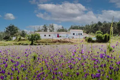 Image de Casa Alfambras | Holiday Cottage in Aljezur by Lisbeyond