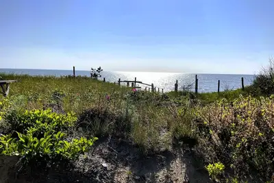 Image de Windswept on Campground Beach