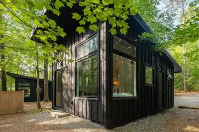 Image de Modern, Luxurious Cabin in the Woods - 03