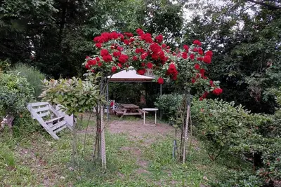 Image de Apartment in house surrounded by greenery above Ghiffa: 300 meters from the lake.