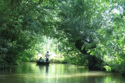 Image de Les Arums - Maison de Vacances avec Piscine