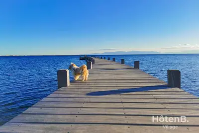 Image de Évasion naturelle : T2 Bis climatisé, piscines et domaine privé à Fitou!