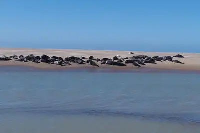Image de Maison de Campagne à 10 Minutes à Pied de la Plage