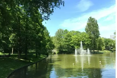 Image de Luxury design apartment