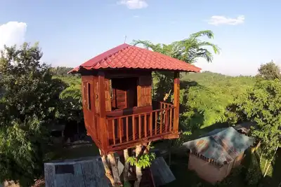 Image de Treehouse and swimming pool