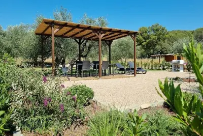 Image de Sea ​​& Olive trees