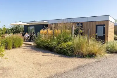 Stay in the modern and spacious Zonnweelde Lodge and be on the beach in no time
