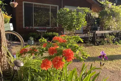 Image de Romantic Cottage with a covered Gas Fire Pit, 10 min walk to Sargeant Bay Beach