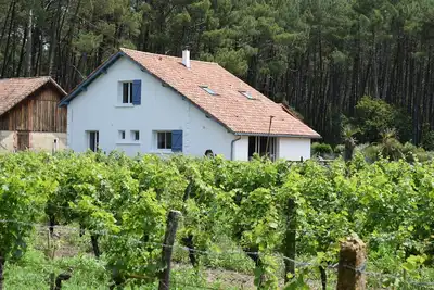 Villa coté Pinède et lac