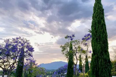 Image de Stylish Garden Apartment in Mountain Top Beautiful Gardens