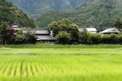 Image de Twinkle Villa - country living in Tamba