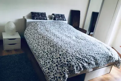 Image de Chambre dans maison avec jardin à pont d’Ain face à la rivière D’Ain