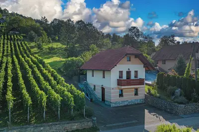 Image de Vineyard Cottage Pyramid, Dobrnič, Slovenia