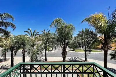 Image de Tavira Palm Tree by Homing