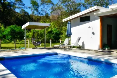 Image de Comfort in the Jungle