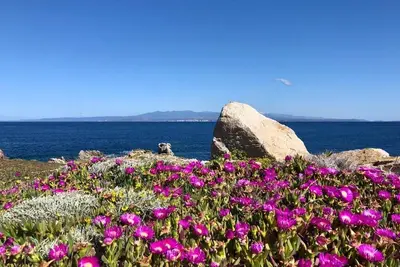 Image de Appartement relaxant avec chambre Cristal pouvant accueillir 5 personnes