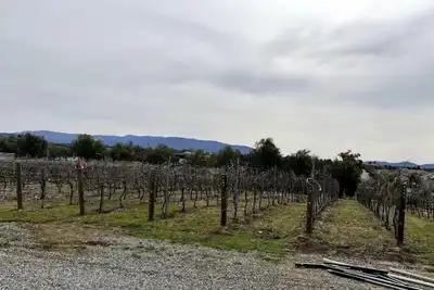 Image de Quiet Vineyard /Pet friendly!