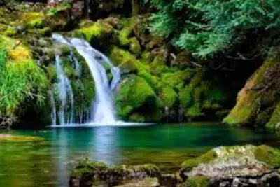 Image de Lake Weir Bird Island Family Retreat waterfront and dock