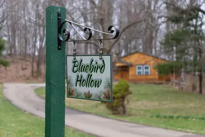 Image de Bluebird Hollow is a cozy little home in the woods