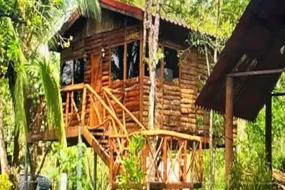 Image de Tree House River