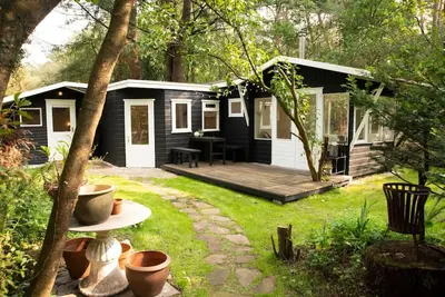 Magical forest cottage at Veluwse bos.