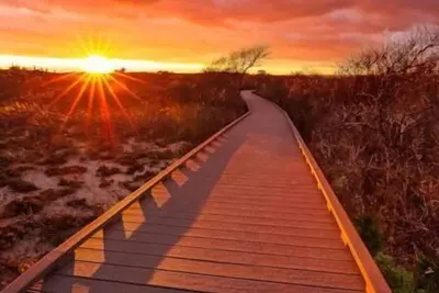 Image de Private Mastic Beach House with Pool, 5 minutes away from Smith Point Beach