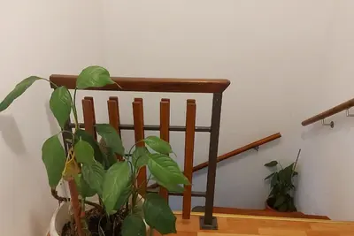 Image de Sea-view House with Spacious Terrace