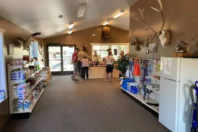 Image de Lakefront bell tent1 near beach & starry night sky