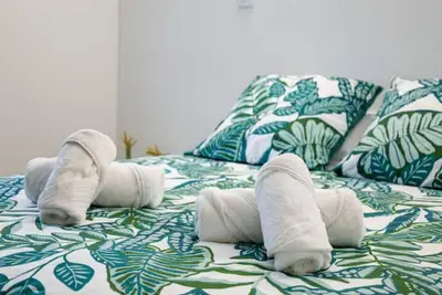 Image de T3 rénové entre Folelli Moriani