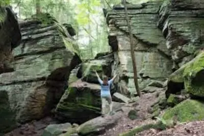 Image de Cozy Country Retreat