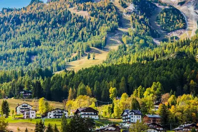 Image de Experience the heart of the Mile High City! !