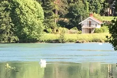 Image de A little paradise on the Rhone