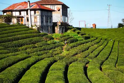 Image de Looking for a place to call home for a while?