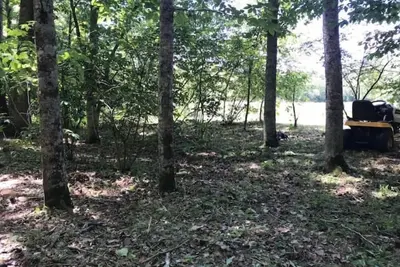 Image de Mountainview Properties #6. 5