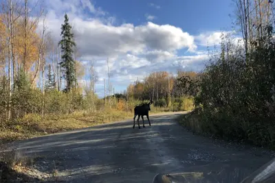 Image de 19ft Raptor Rv. . . Possible Delivery Available.