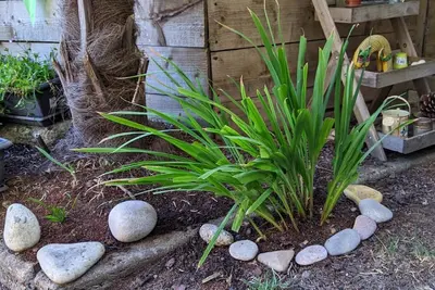 Image de Charmant appartement avec jardin à La Roche-Bernard