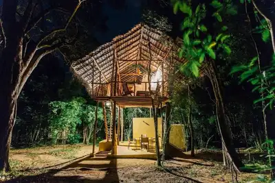 Image de Magical Tree House in Jungle next to Pidurangala