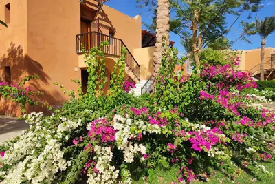 Image de Chalet Stella Makadi Beach 5*Plage privée, wifi, piscine