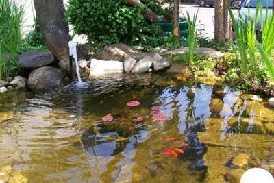 Image de Ferienwohnung Rosengarten - ab 2 Nächte - Stockers Kleines Dorfhotel