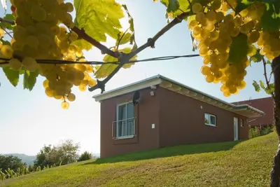 Image de Ferienhaus \"das Nussberg\" - ab 4 Nächte - Ferienhäuser im Weingarten