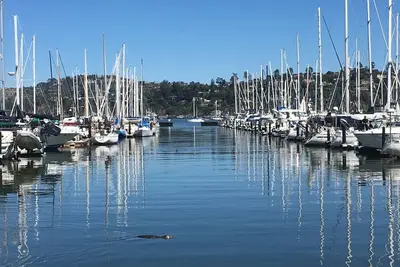 Image de Beautiful home steps from the Sausalito waterfront and restaurants.