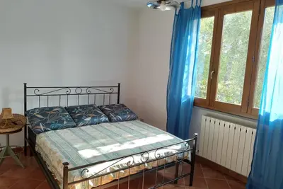 Image de Summer in the green of Monte Carlo